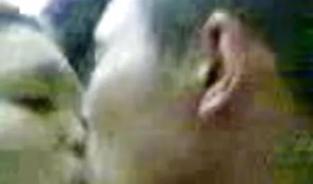 வெண்ணிற GILF, அல்லது ரஷ்யாவில் இருந்து விரல் அவள் புண்டை ஆபாச செக்ஸ் திரைப்படங்கள்