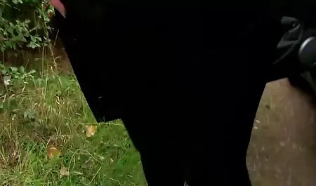 வெகுஜன அணிய பாட்டி பெரிய DONK. கலை ஆபாச படம்
